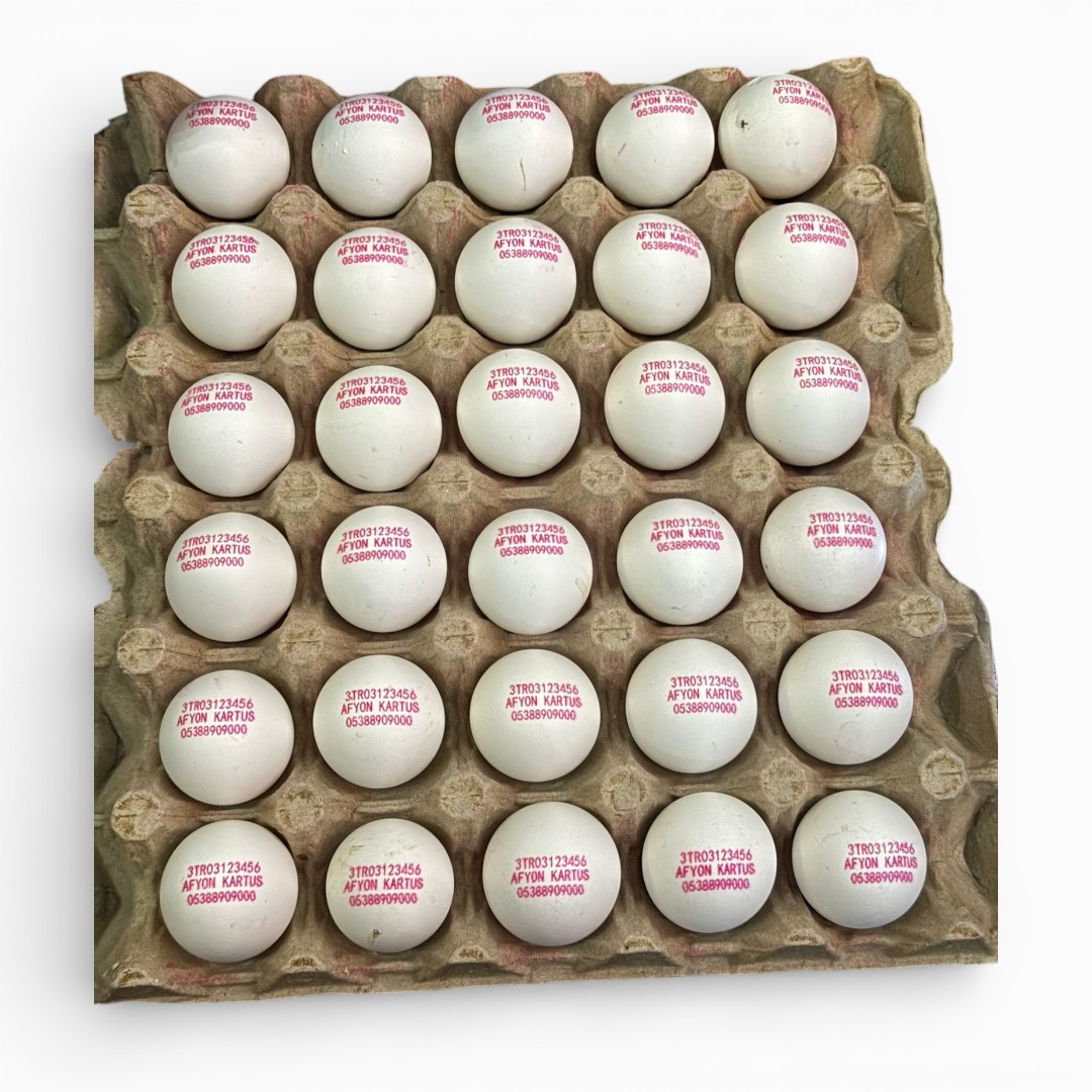 Tek kafalı Masa Tipi Yumurta Kodlama Yazıcısı