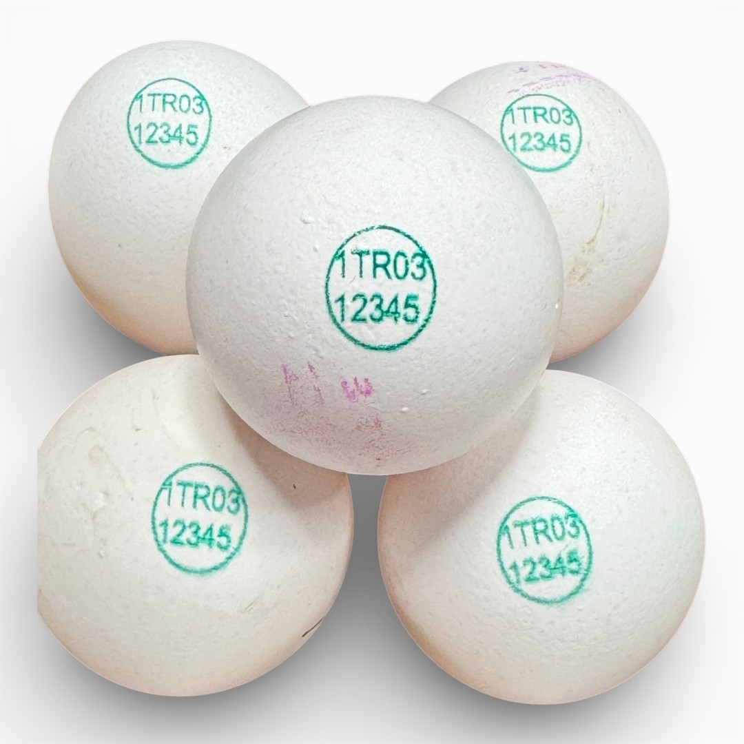 Tek kafalı Masa Tipi Yumurta Kodlama Yazıcısı